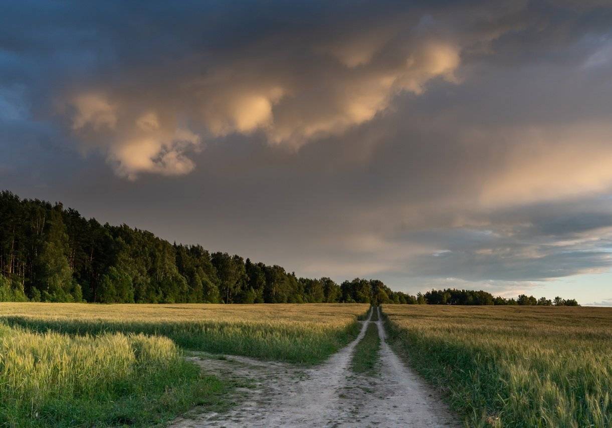 , Константин Дэм