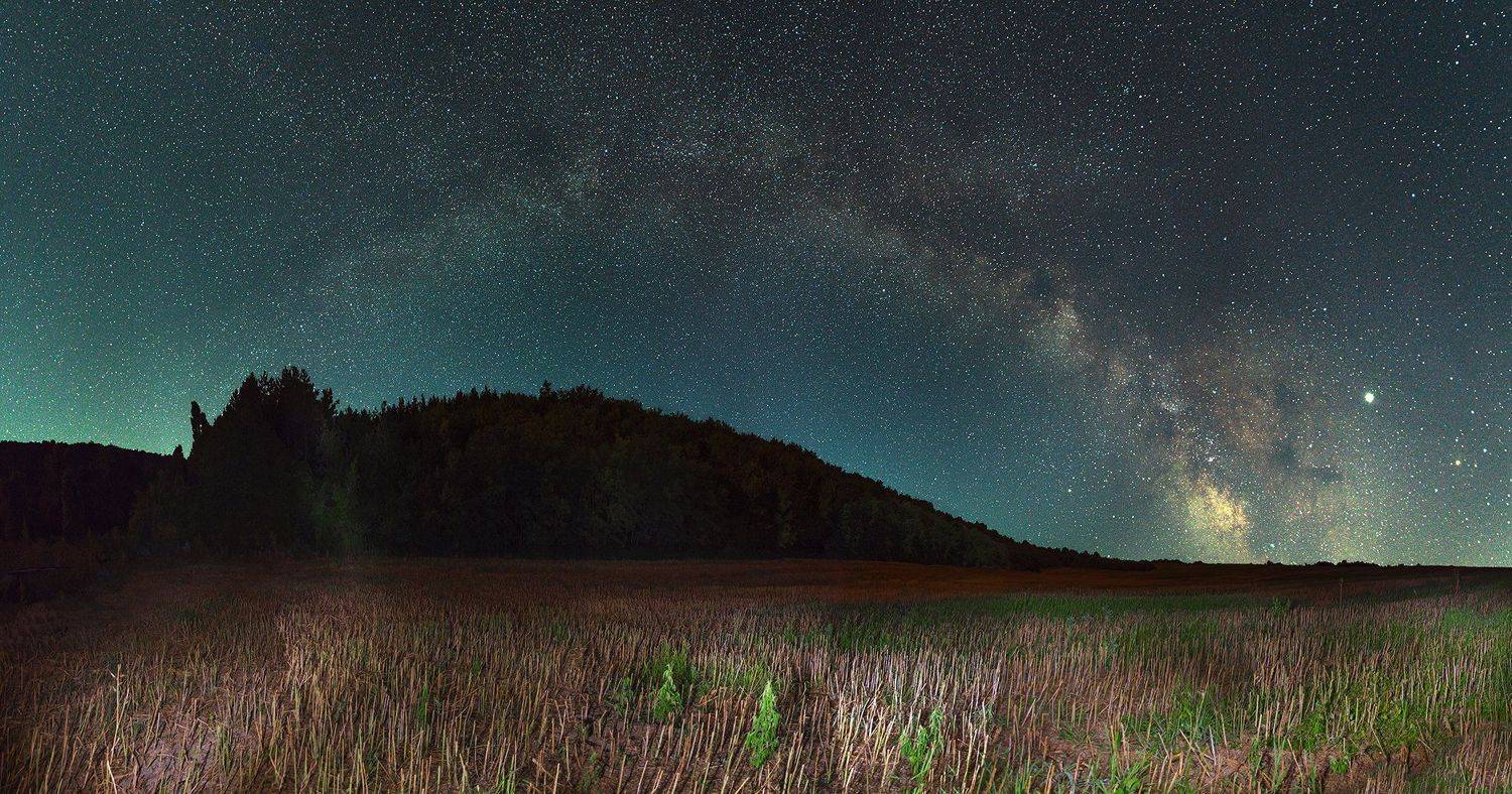 ceclii, nikon d3400, Tsvetan Ganev