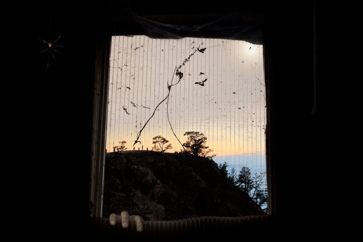 креатив, обработка, концепция, грезы, сны, окно, concept, evening, dreams, window, Дмитрий Салтыков