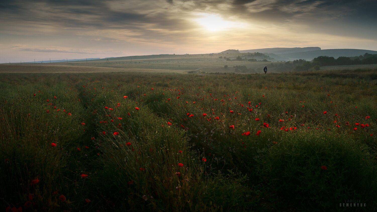 крым, красный мак, лето, цветы, маки, рассвет, предгорья, цветы, поле, crimea, dawn, poppy, flowers, landscape., Семенюк Василий