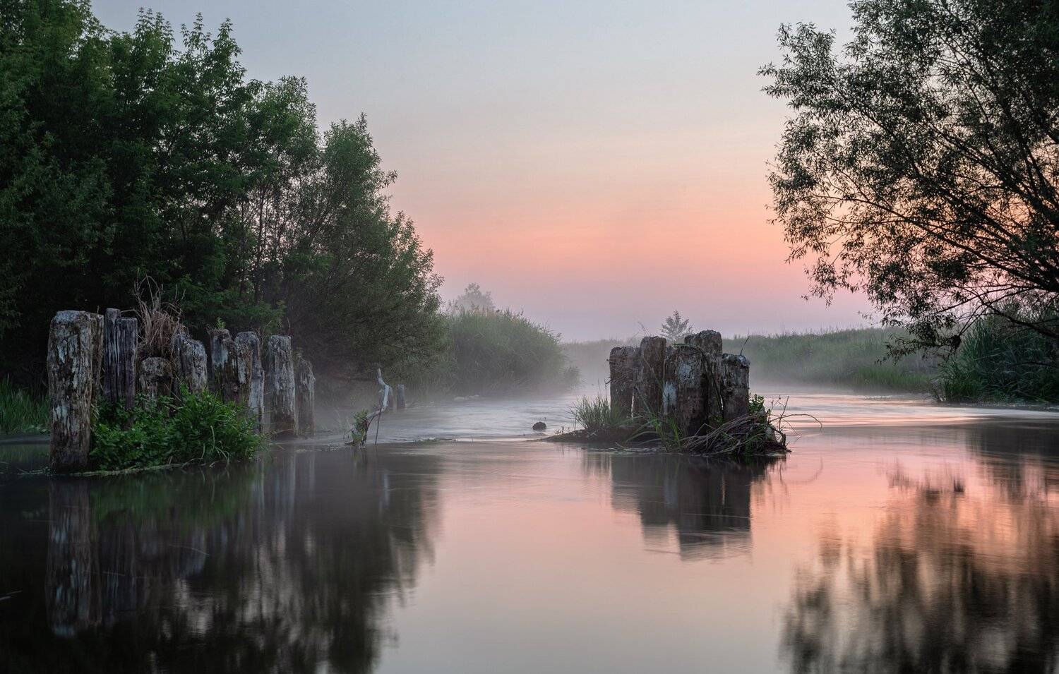 , Александр Бредихин