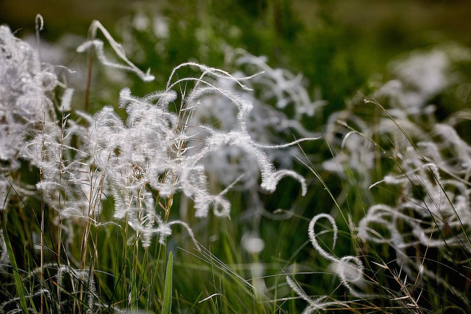 южный, урал, долгие горы, орск, новотроицк, карагай, урал, Качурин Алексей