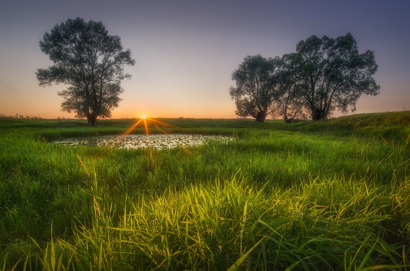 Закат в поле фото превью