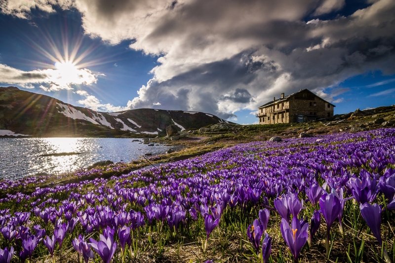 фото превью