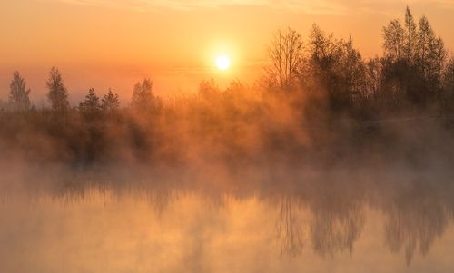 Туманный рассвет