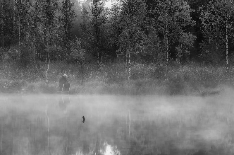 чёрно белое , чб, болото, туман,  ленинградская область, ленобласть Один на один... фото превью