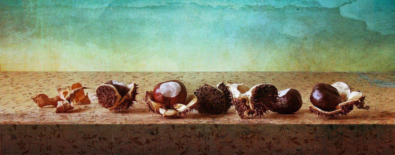 chestnuts, каштан, Станислав Солагаян