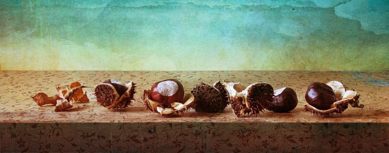 chestnuts, каштан with chestnuts фото превью