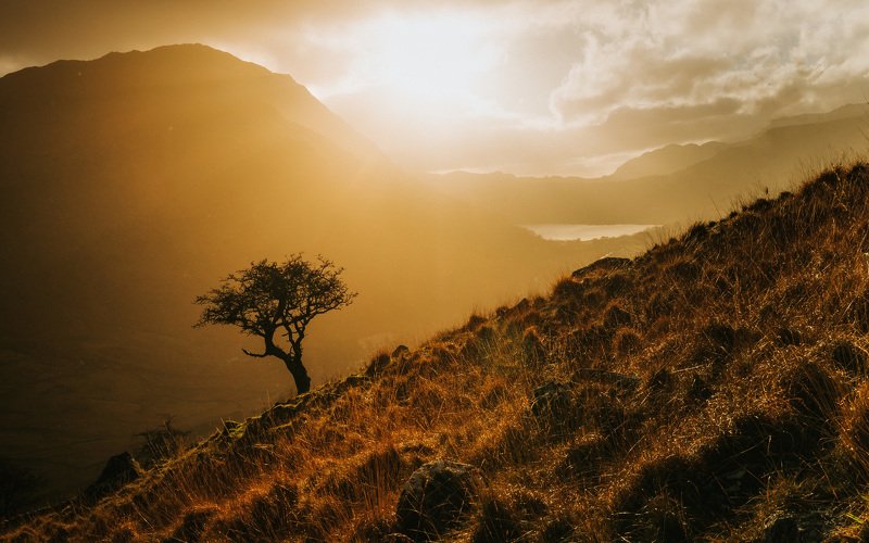 silence фото превью