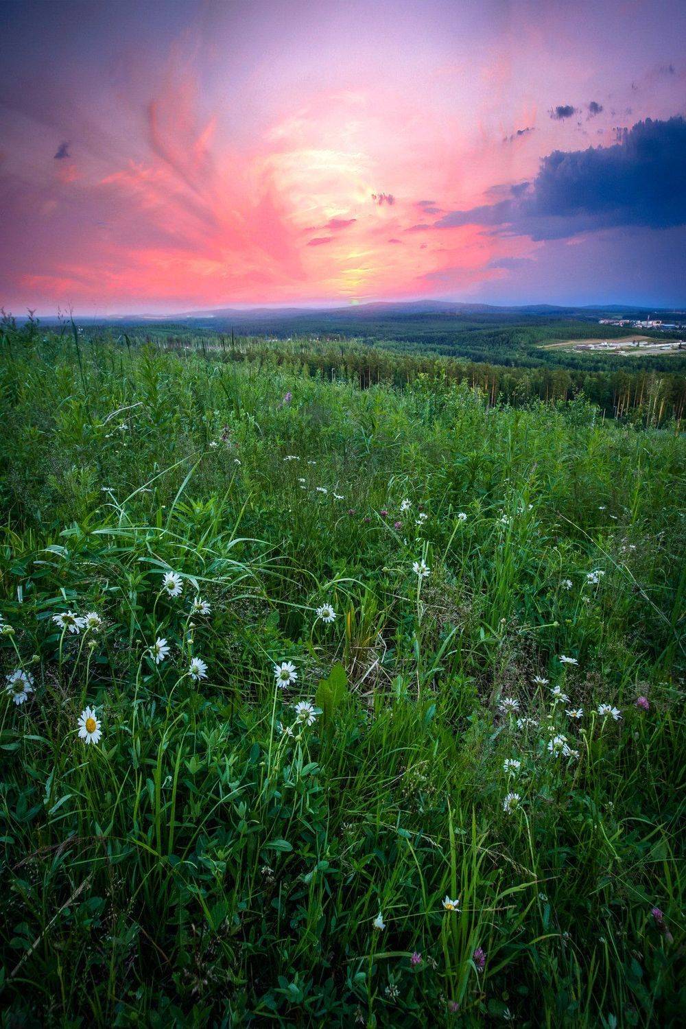 , Александр Казин