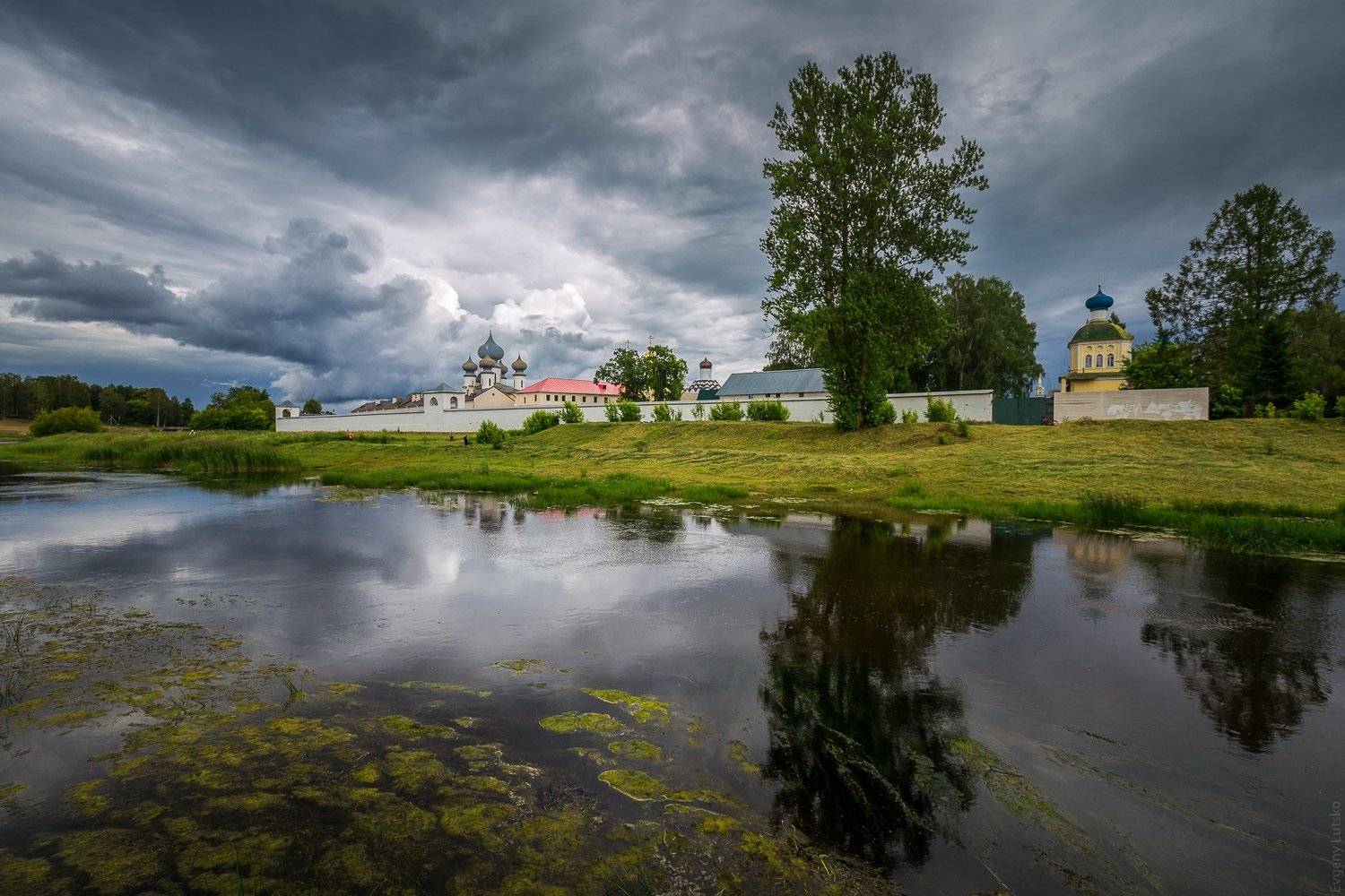 , Евгений Луцко