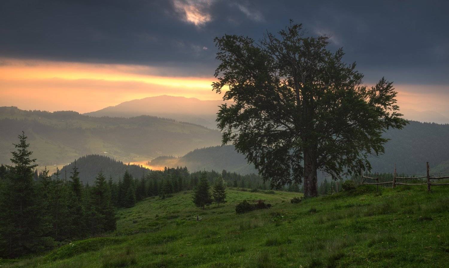 карпаты, черногорский хребет, полонина смотрич, дземброня, Зинченко Роман