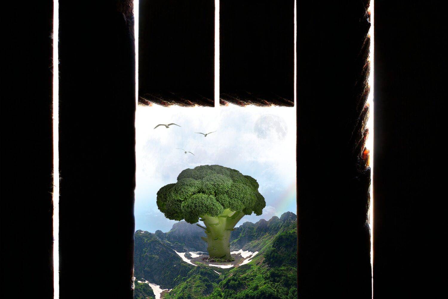 креатив, обработка, концепция, мир, реальность, страхи, concept, peace, reality, fears, Дмитрий Салтыков