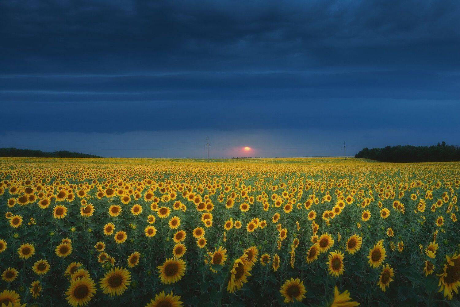 , Oleg Feofanov