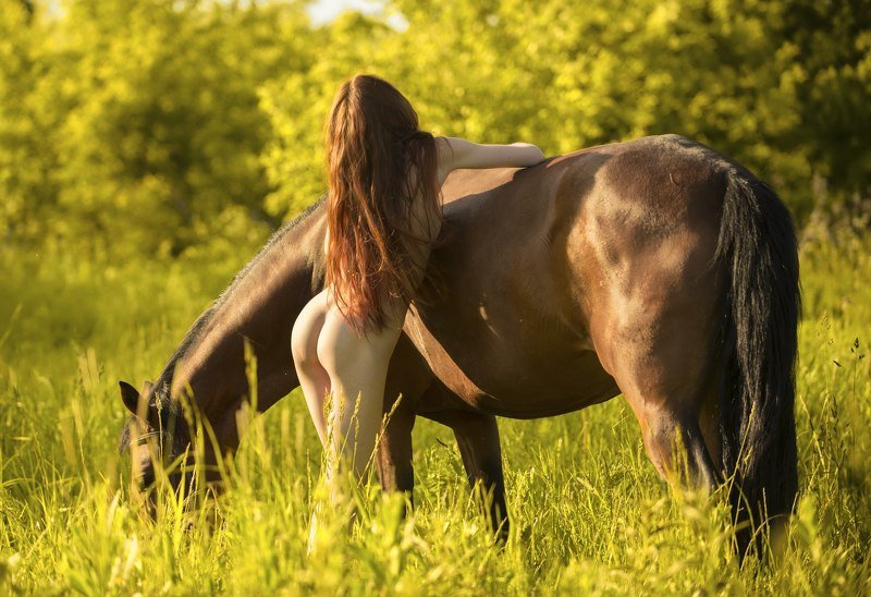 пока на деревню Клюевку не опустился вечер,надо успеть покормить домашнюю живность... фото превью