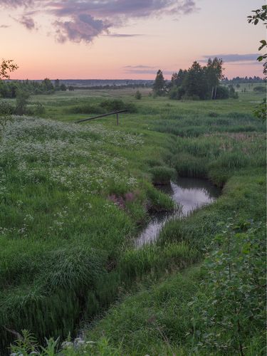 Пасторальный пейзаж