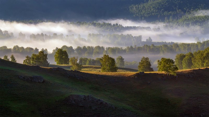 Туманное утро фото превью