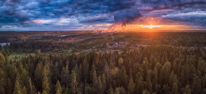 ленинградская область_выборгский район_светогорск_июнь_лес_дым_закат_цбк Закат по Светогорски. фото превью