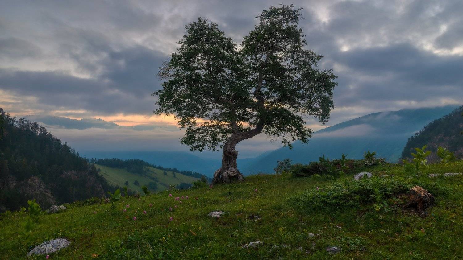 рассвет, Alexander Plekhanov