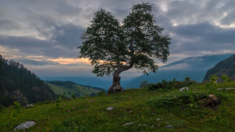 рассвет Рассвет фото превью