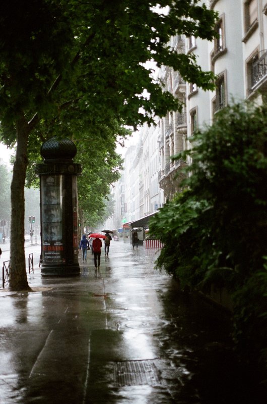 Дожди фото превью