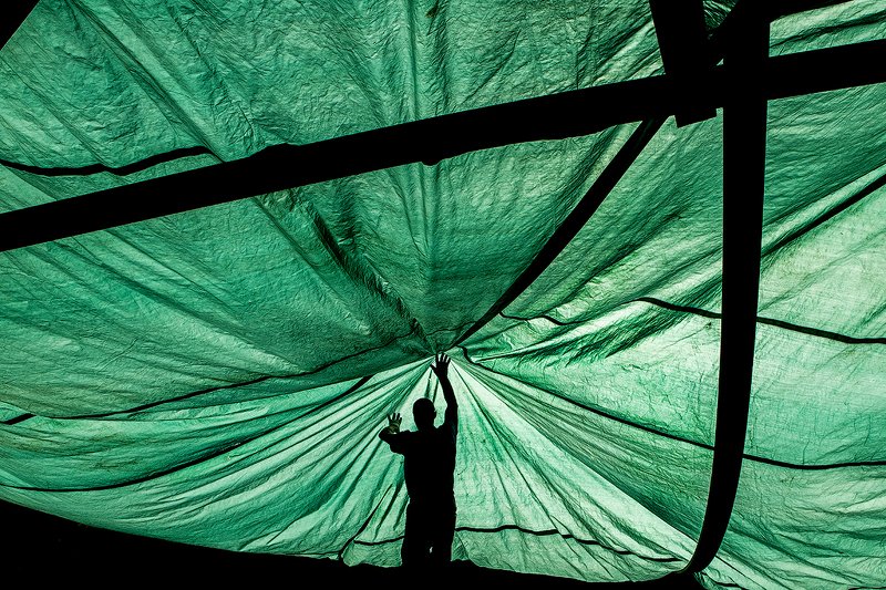 zebrophoto andrey veselov  андрей веселов   фото превью