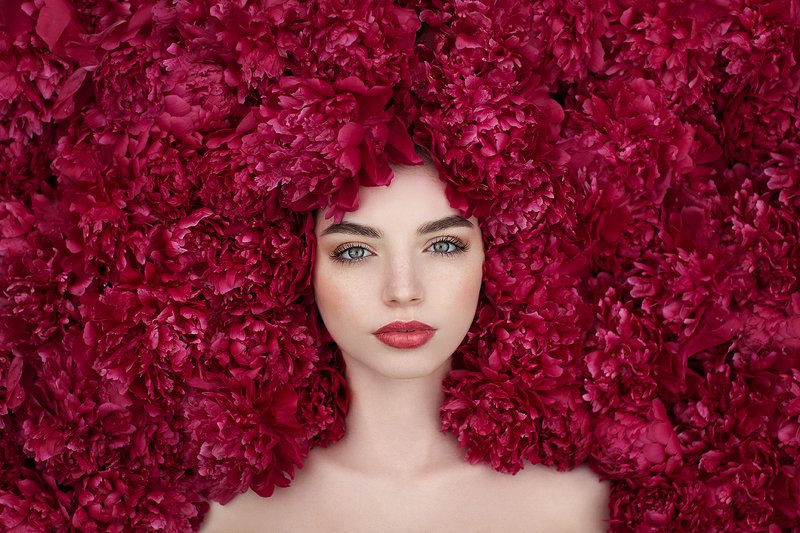 Пионы фото превью