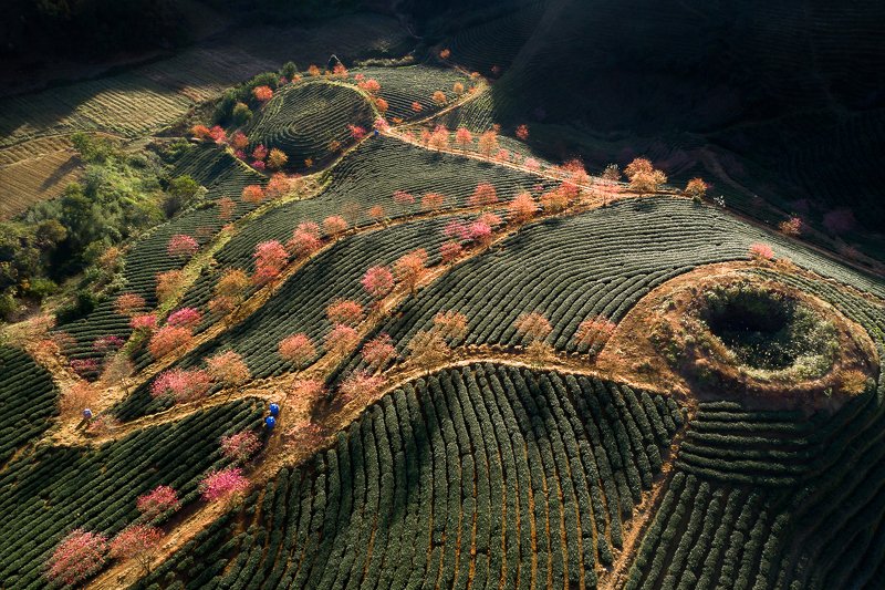 фото превью