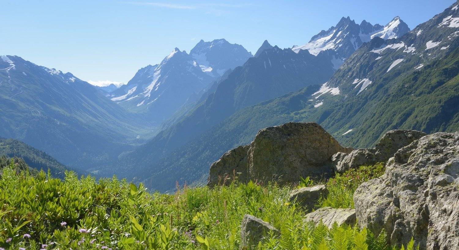 горы лето кавказ домбай, Александр Жарников