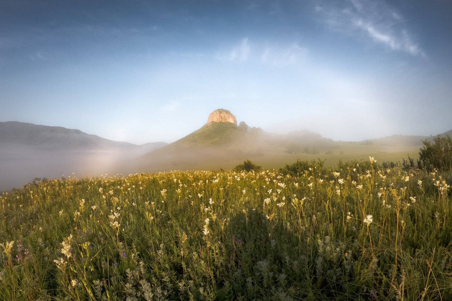 #тропалаксмана #тропаэрикалаксмана #тигирекскийзаповедник #алтай #западныйалтай #тропа #gopro #goprohero7 #goprohero7blackedition #гало #halo #mountain #hill #landscape #morning, Денис Соломахин