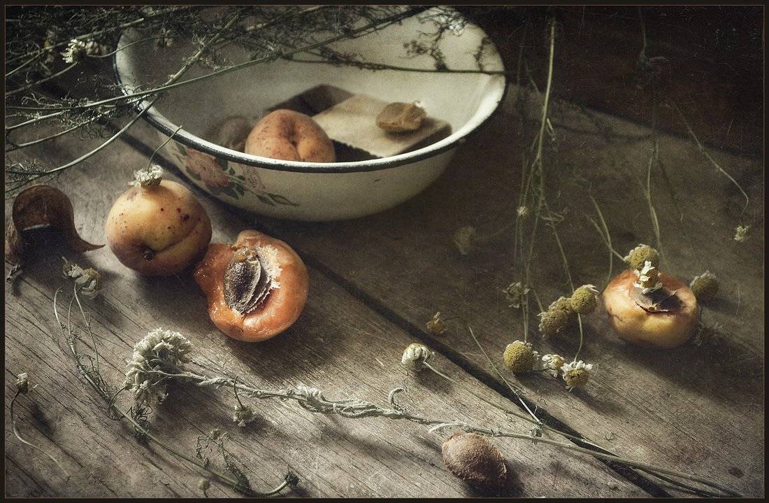 , Александр Хромеев