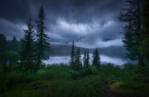 Утро на ,Светлом