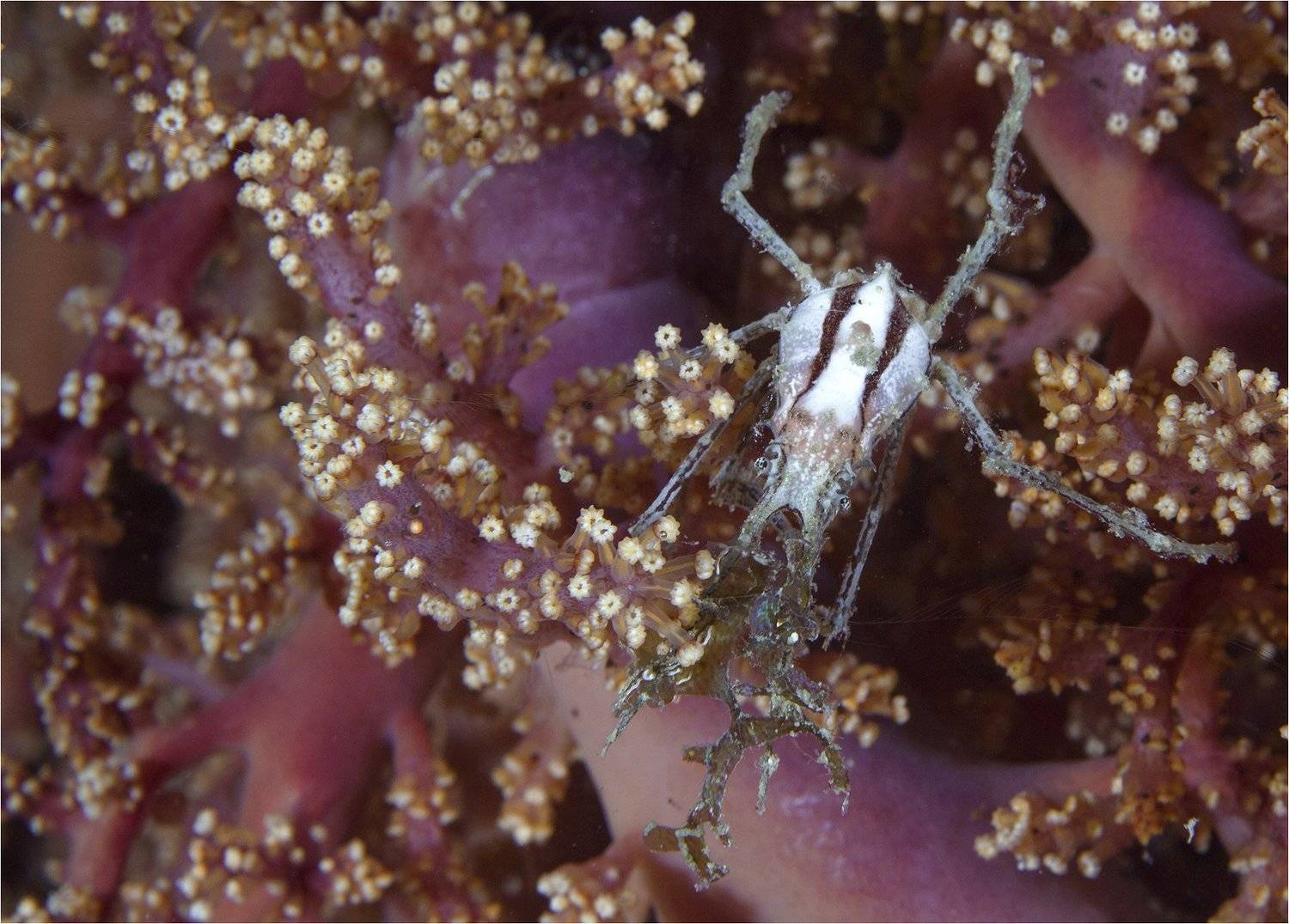 филиппины, макро, Сергей Гаспарян