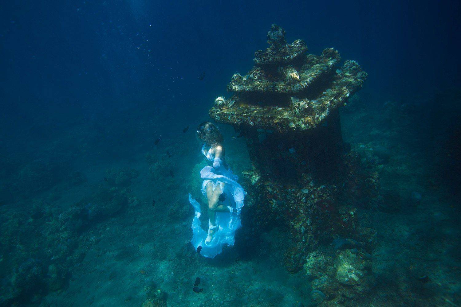 , Игорь Шитиков