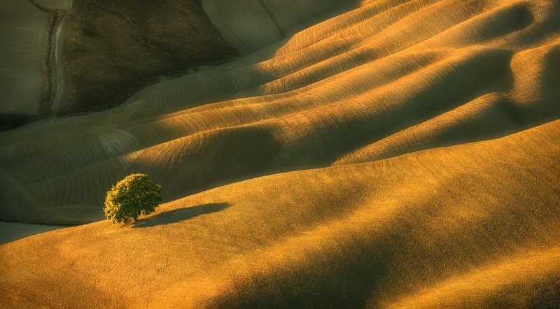 One... фото превью