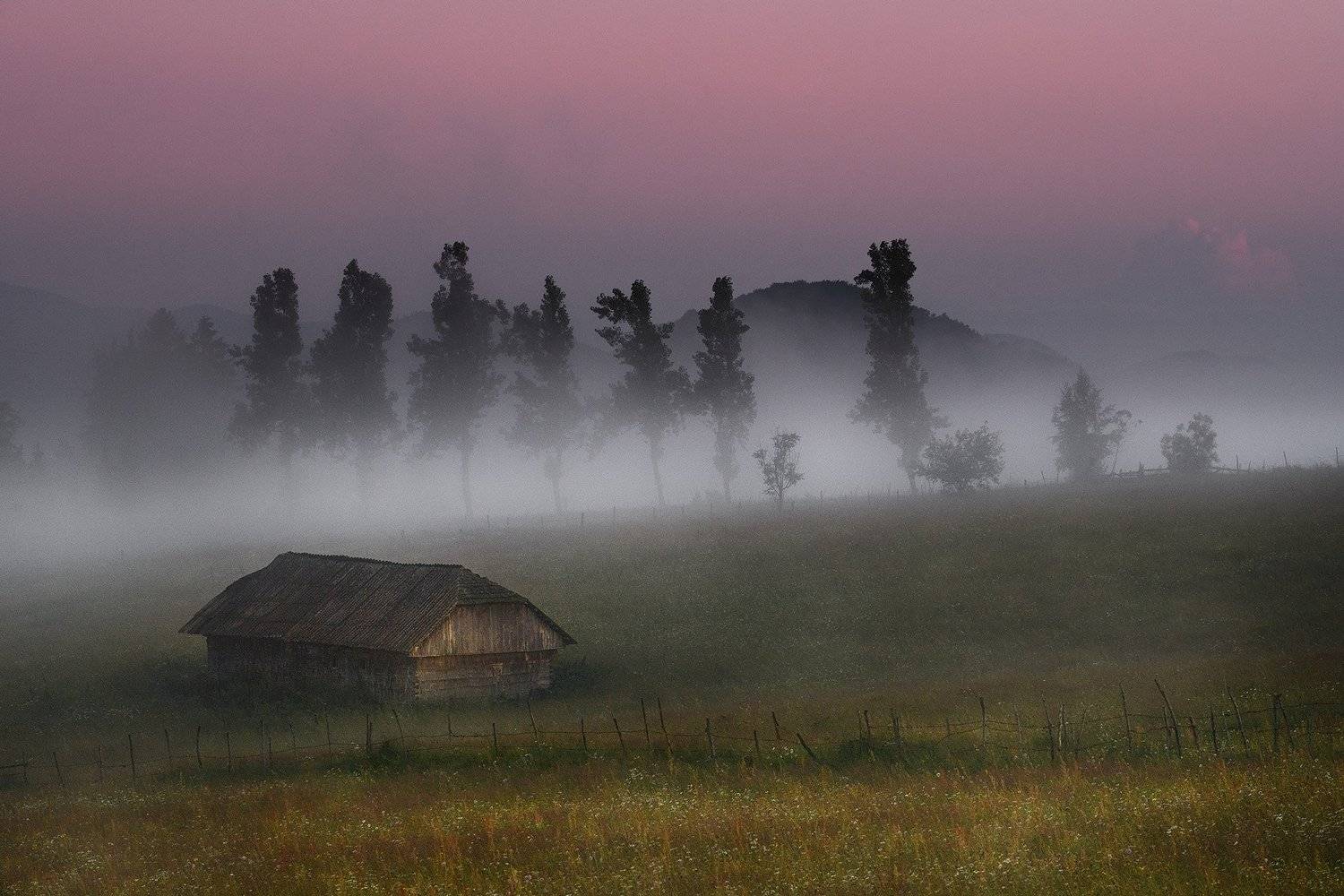 , Красимир Матаров