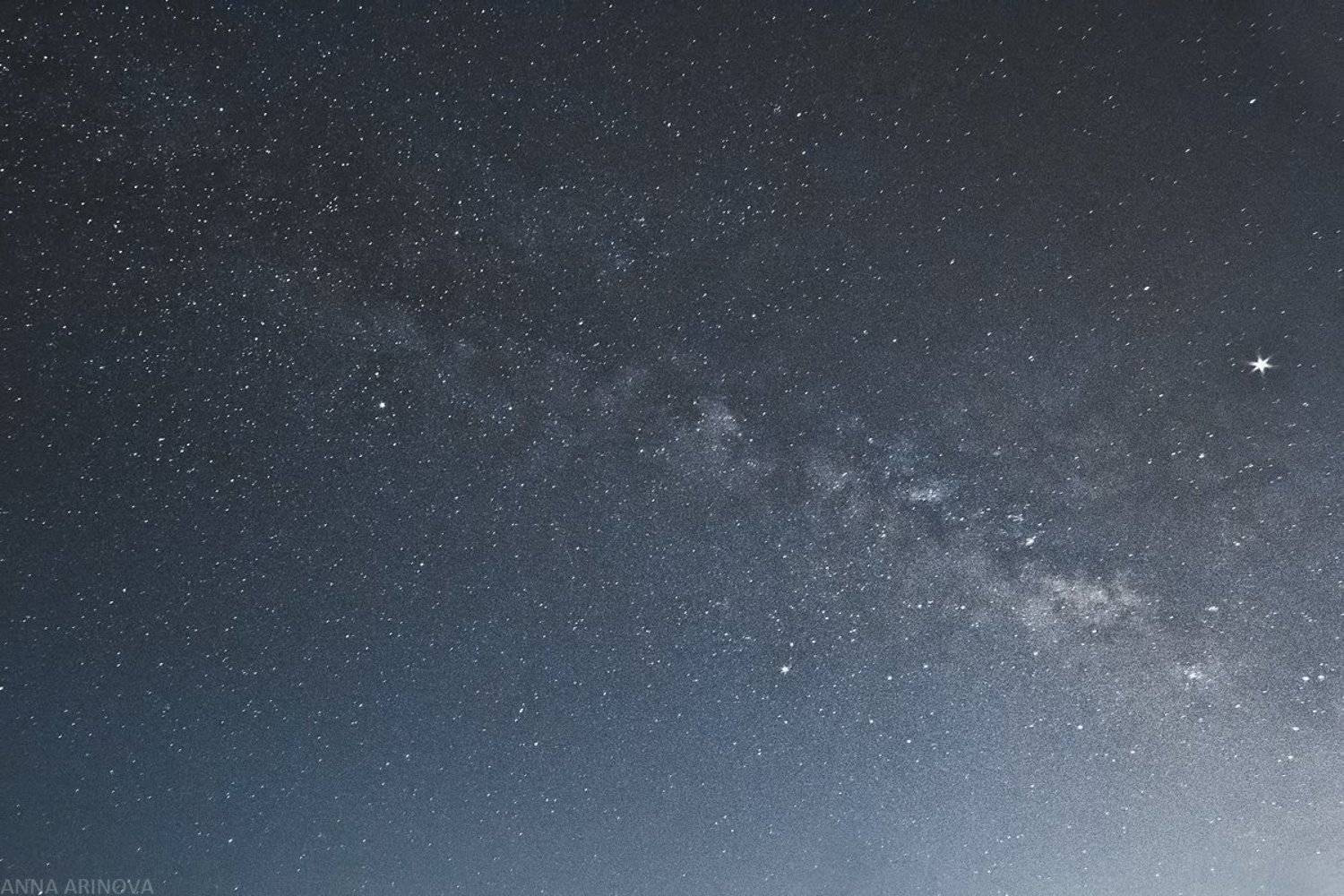 , Анна Аринова