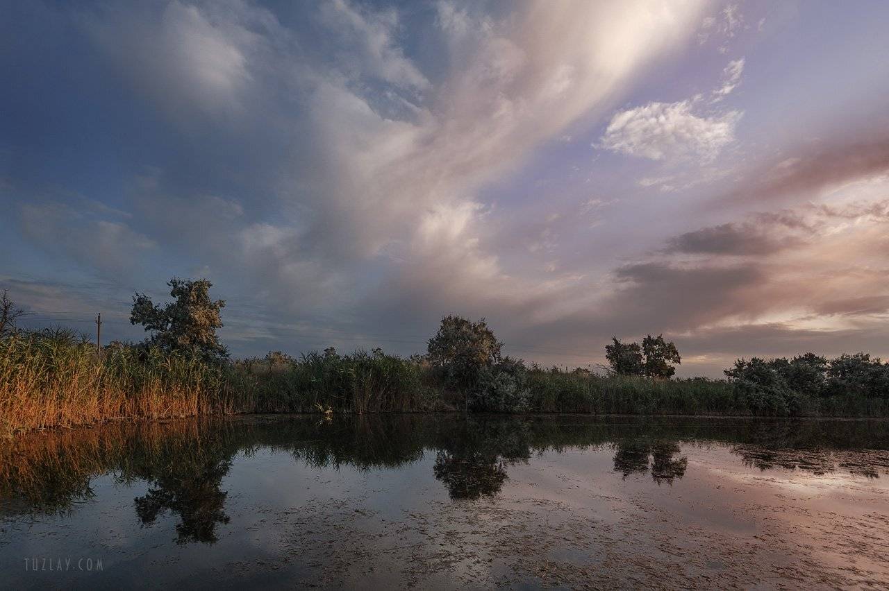 водоем, земля таманская, темрюкский район, камыши, Владимир Тузлай