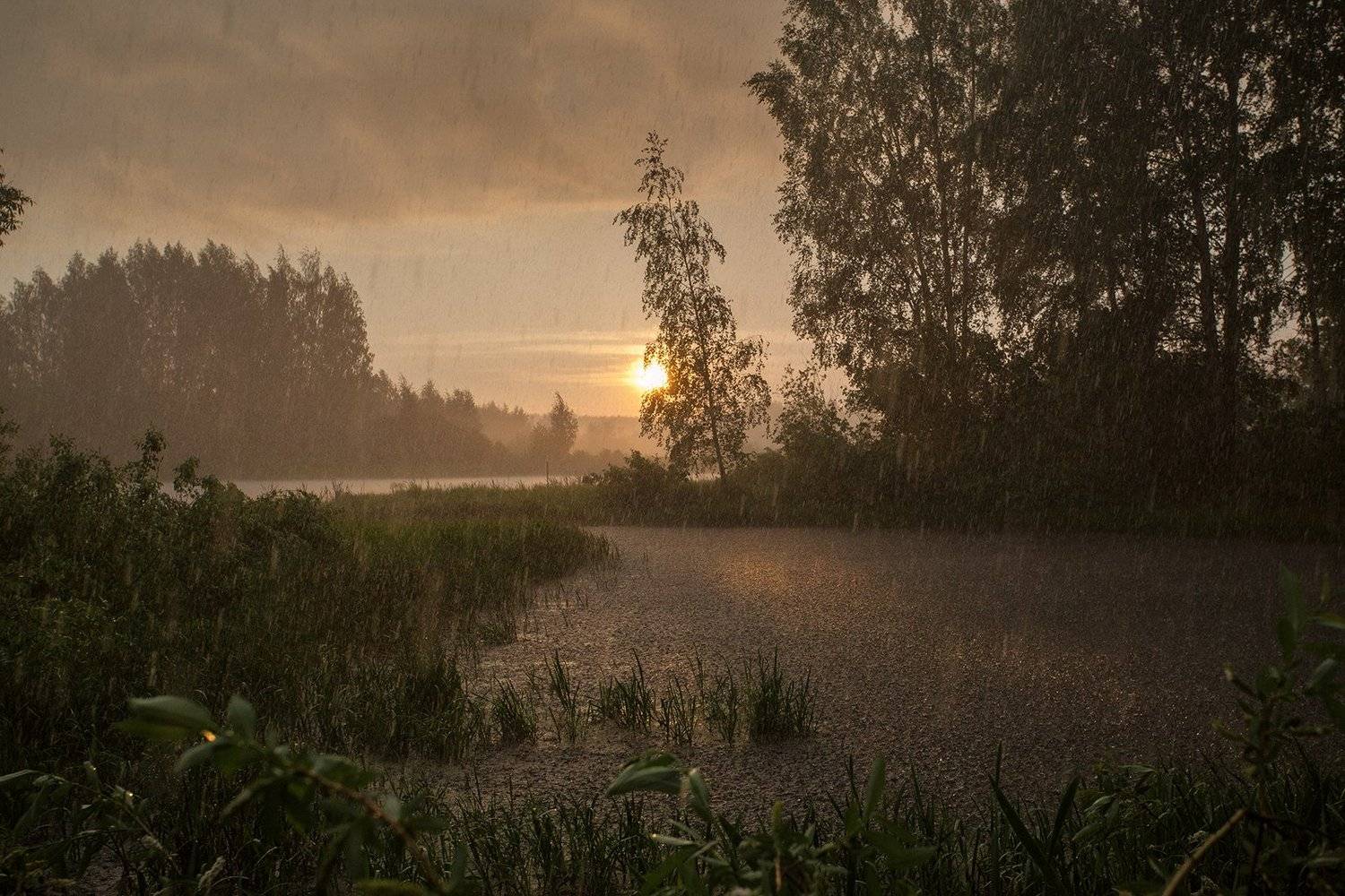 , Евгений Цветков