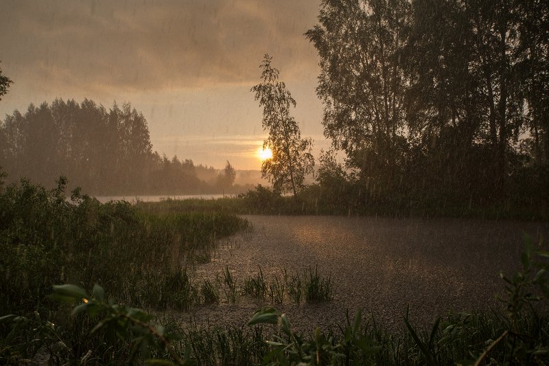 Грянул летний дождь фото превью
