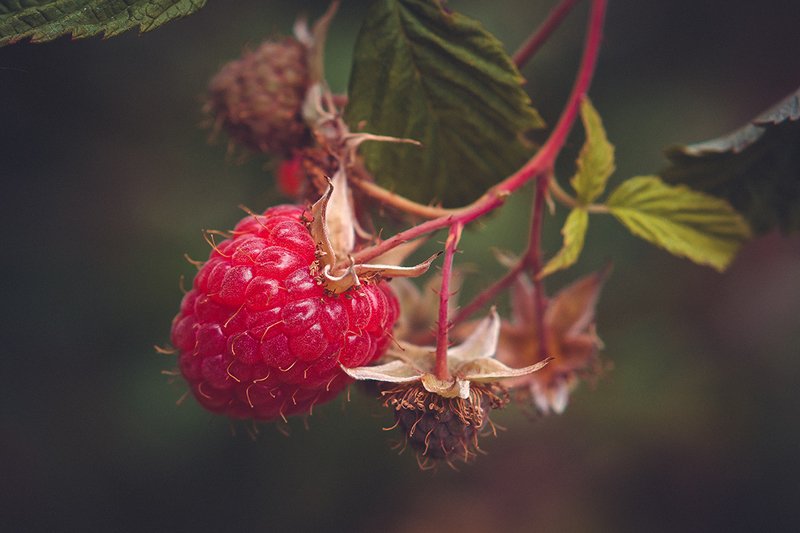 *** фото превью