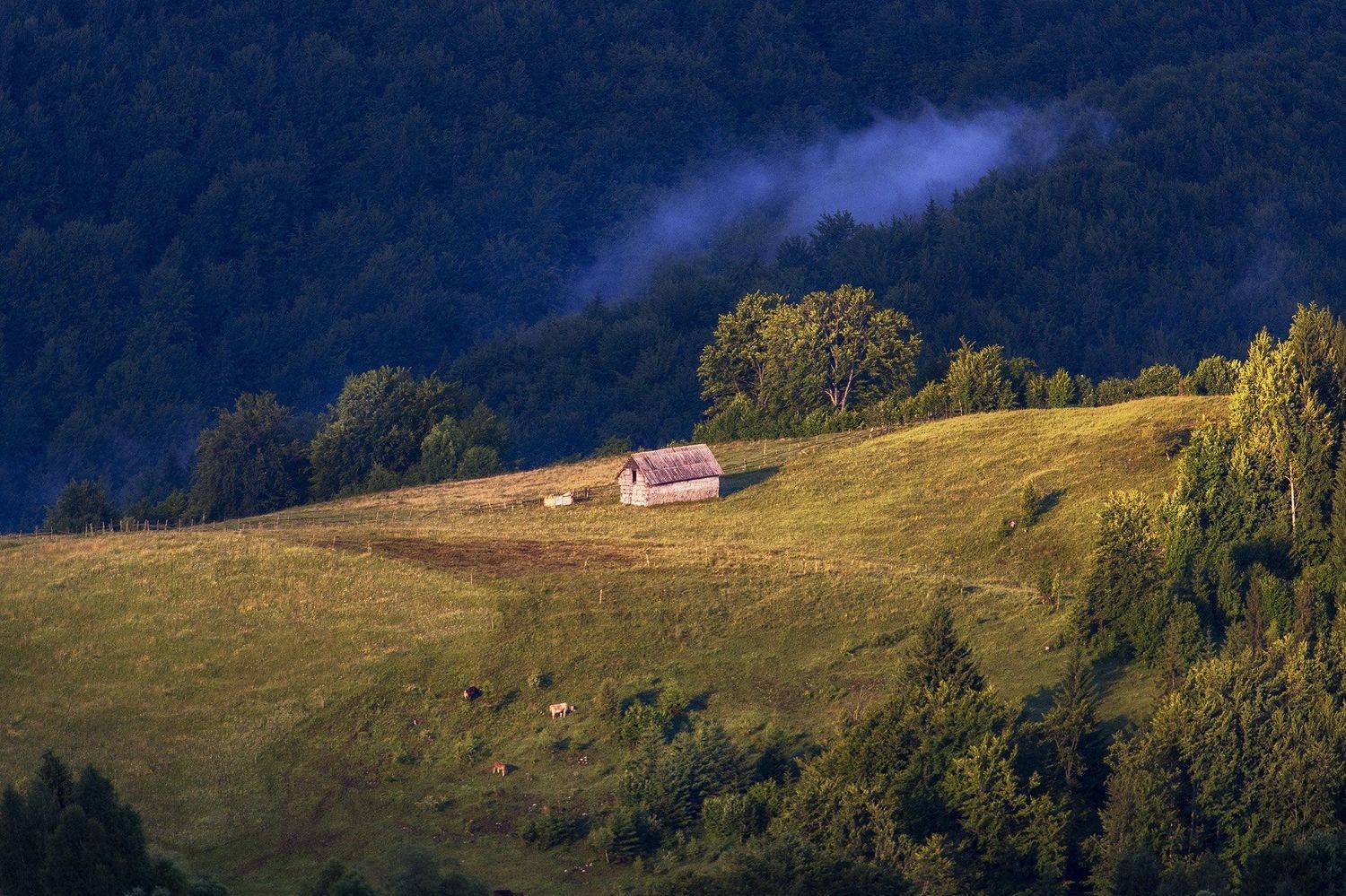 , Albena Andonova-Asa