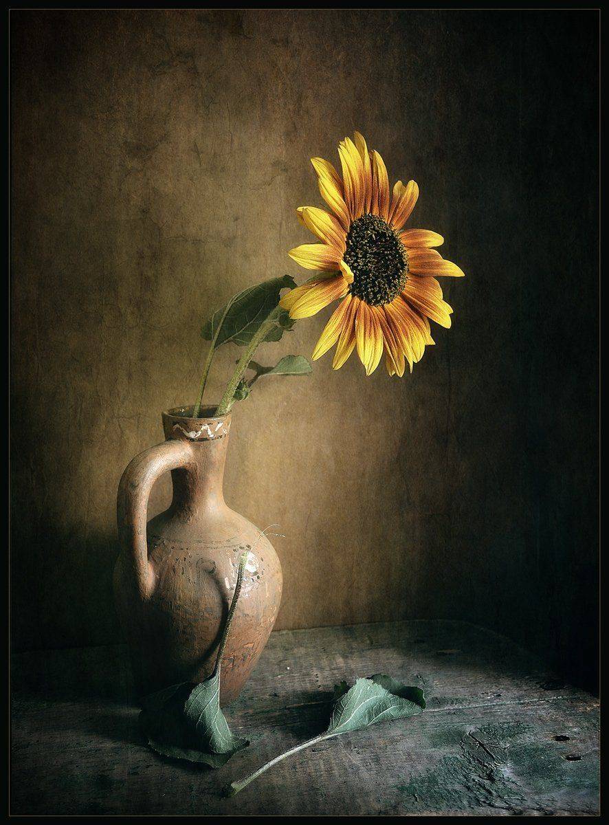 , Александр Хромеев