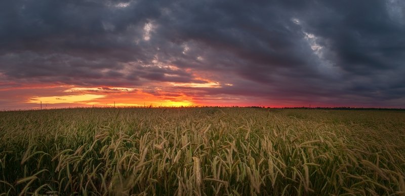 Перед бурей.. фото превью