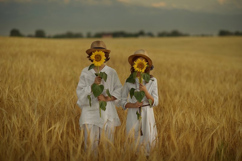 детский портрет, дети, детская фотография, пшеничные поля, любовь Над пропасть во ржи фото превью