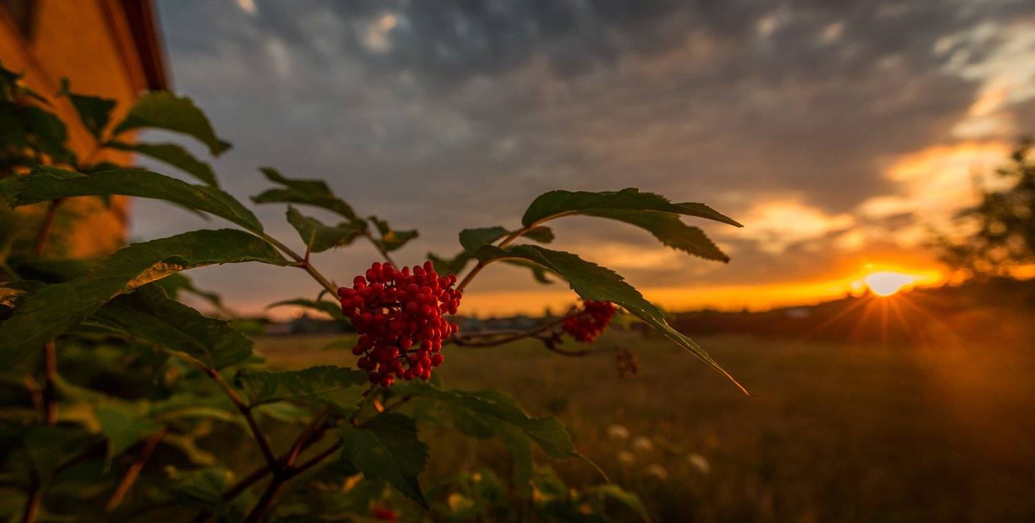 , Владимир Верендеев