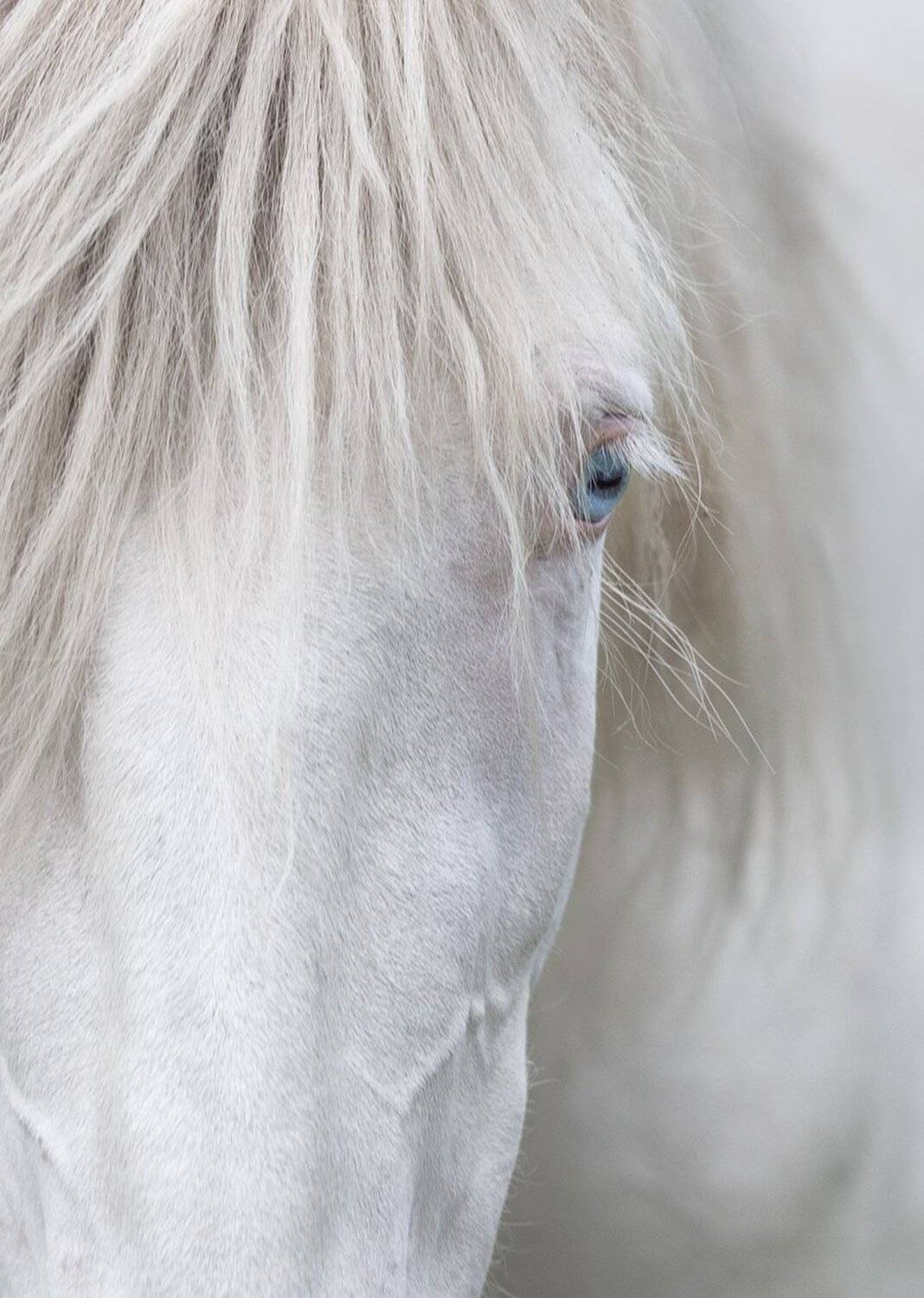 ***, Баранов Олег