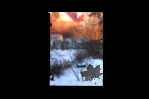В глубокой заморозке, в глубоком сне...