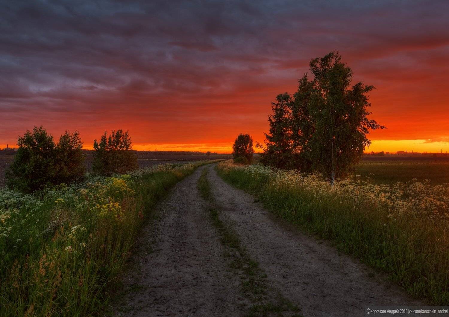 , Андрей Корочкин