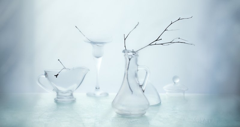 натюрморт, стекло, ветка, минимализм  фото превью